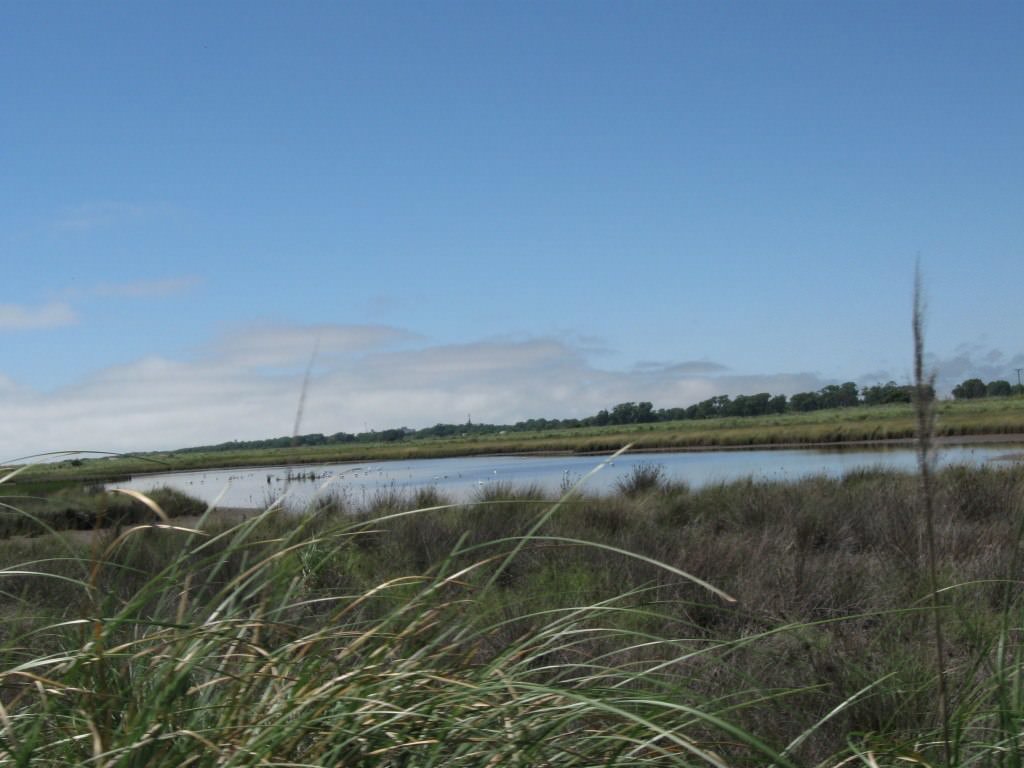 Punta Rasa, Partido De La Costa, Buenos Aires Argentina