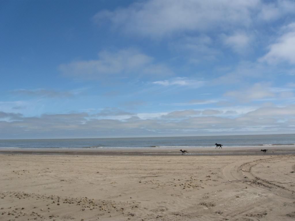 Punta Rasa, Partido De La Costa, Buenos Aires Argentina