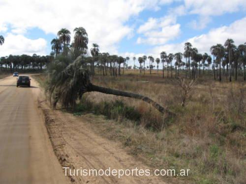 El Palmar de Colón Entre Ríos