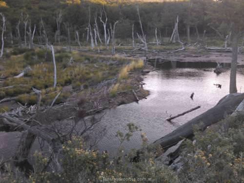 La castorera parque nacional tierra del fuego