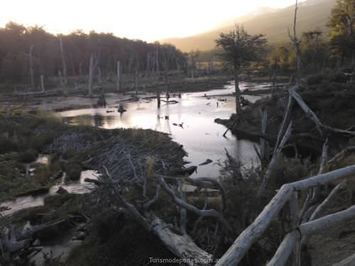 La castorera parque nacional tierra del fuego