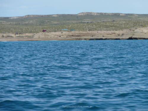 Ballenas en Peninsula de Valdes Puerto Madryn Chubut