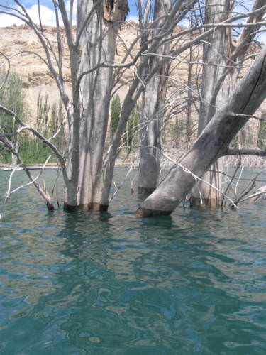 Potrerillos Mendoza Argentina