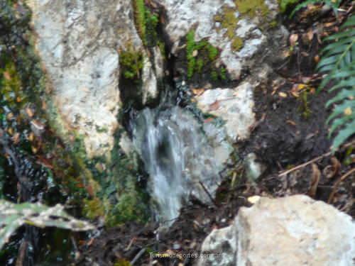 Termas naturales Del Queni San Martín De Los Andes